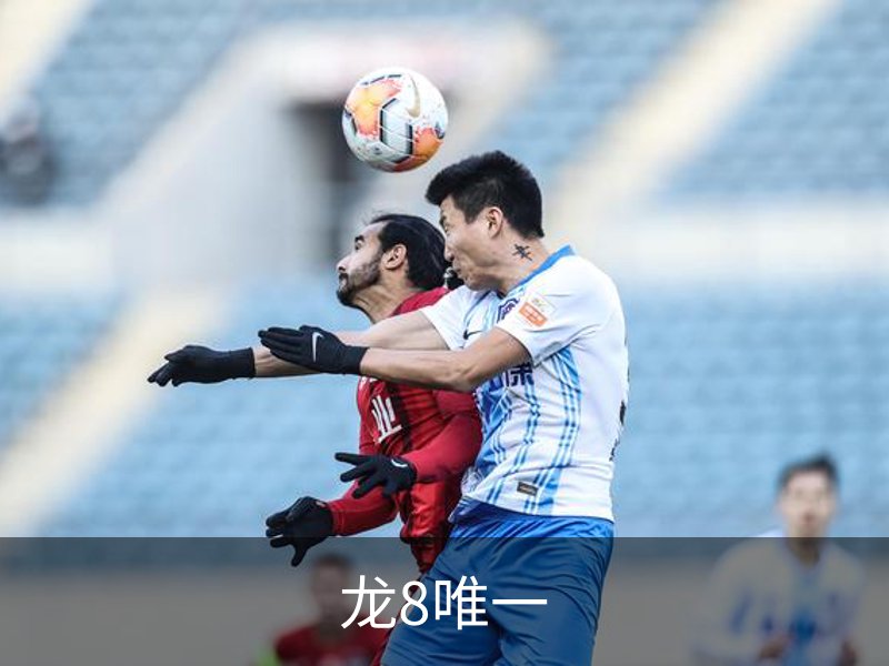 龙8唯一品牌故事
